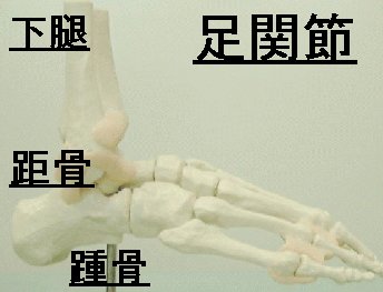 asi