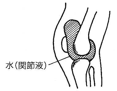 knee