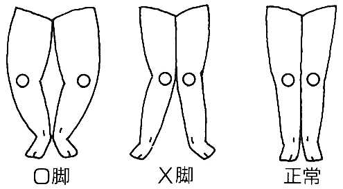 knee